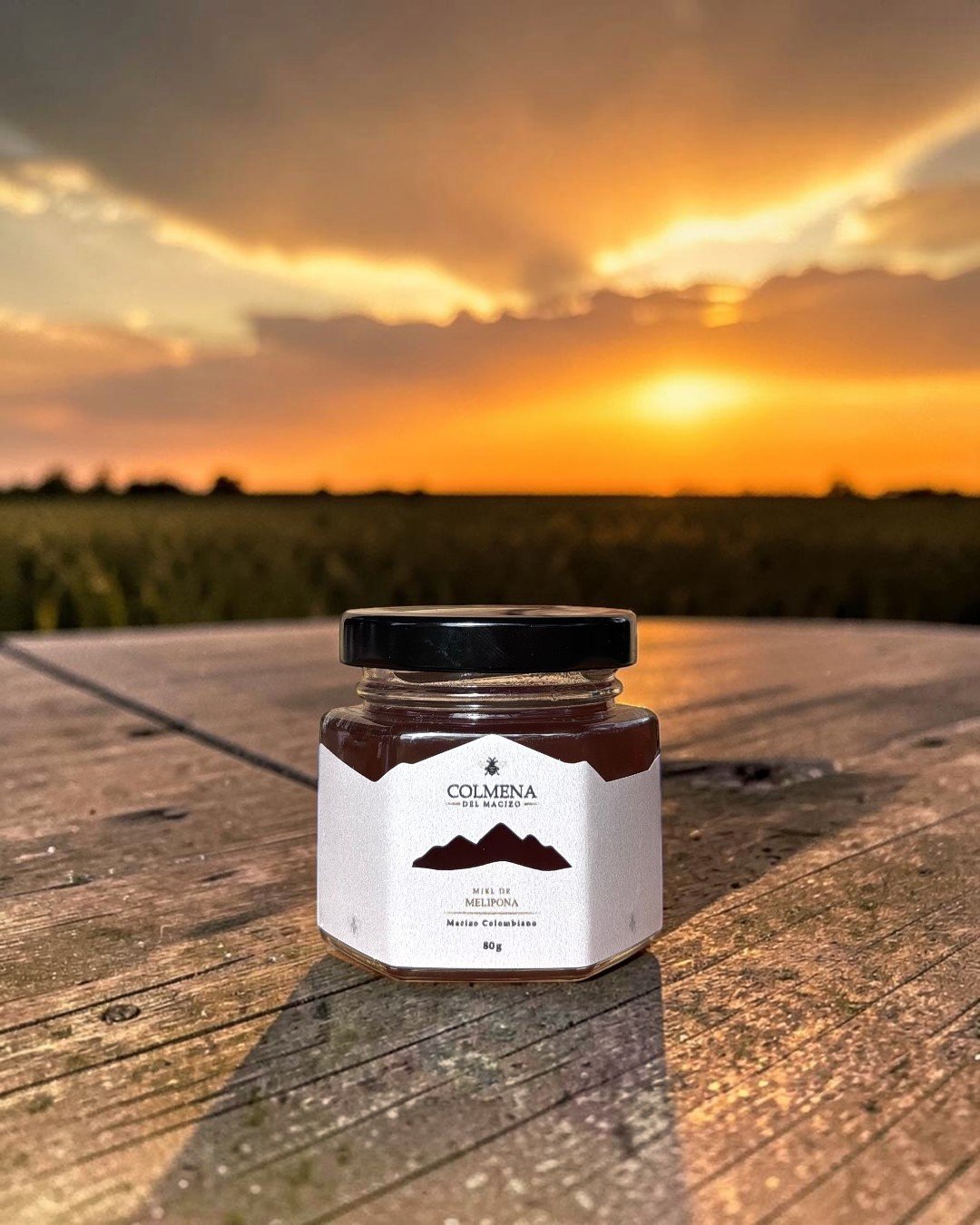 Miel de Melipona 80 g