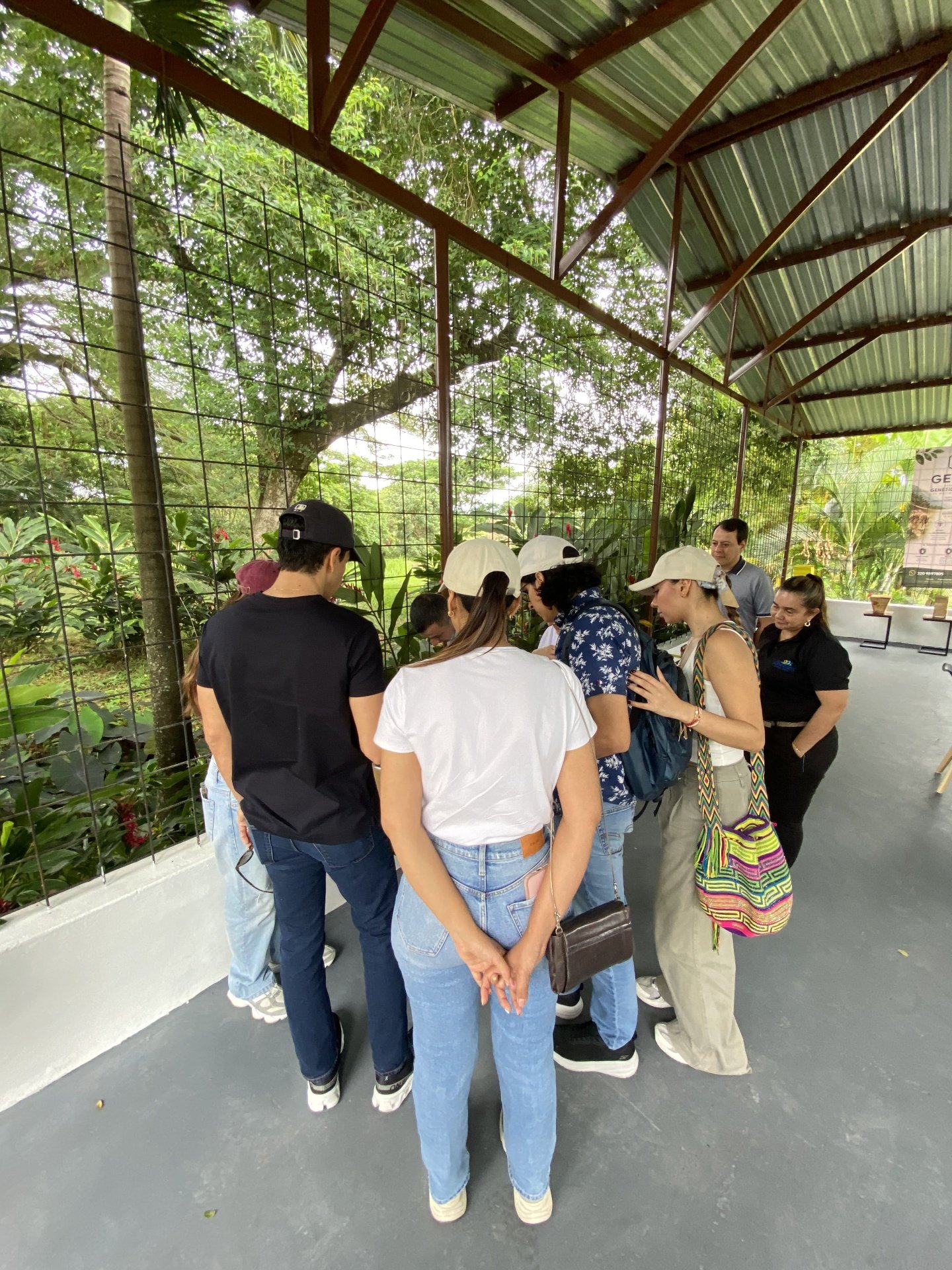 Visitantes en Colmena del Macizo