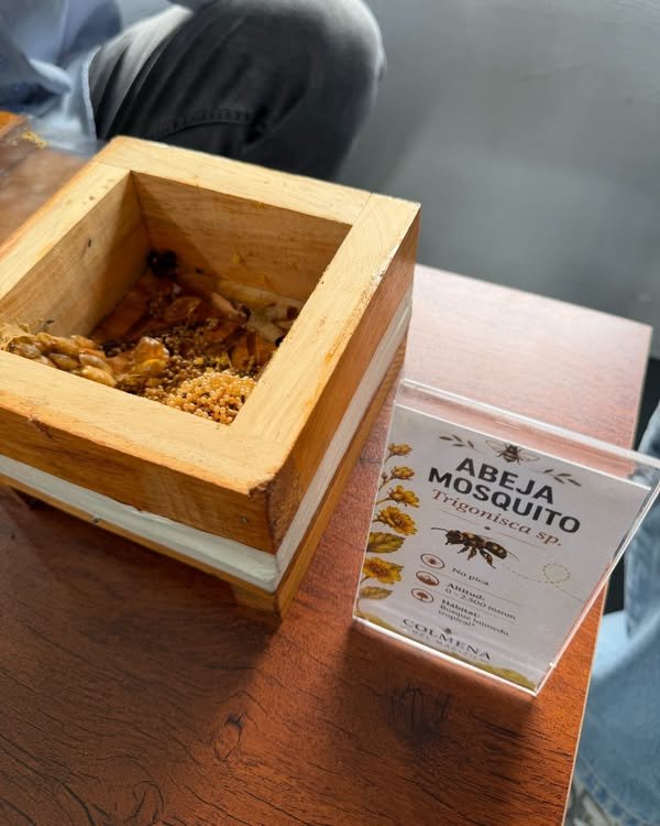 Publicación en Diario del Huila