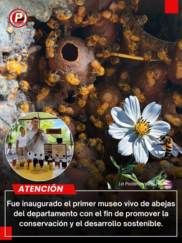 Reseña en La Poderosa Pitalito